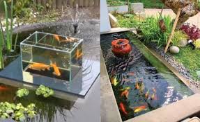 Kolam koi minimalis di depan rumah atau teras, memang cocokbuatnongkrong sambil menikmati keindahan ikan koi. Minimalis 10 Ide Desain Kolam Ikan Koi Indoor Maupun Outdoor Dailysia