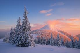 Check spelling or type a new query. 128860 Carpathian Mountains 4k Snow Pine Trees Winter Sunset Mocah Hd Wallpapers