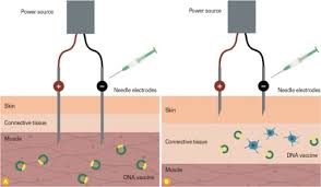 Find derivations skins created based on this one. Breathing Labs Electroporation Vumum Rezon Co