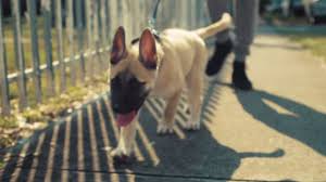The rapper was born on 28th january, 1985 in frankfurt germany, where his dad was based in the us army. J Cole Features Unexpected Lovable Cast In Wet Dreamz Video Urbanology Magazine