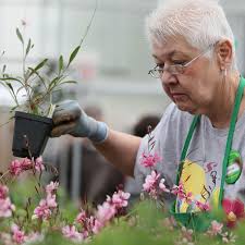 ISO help identifying this plant. TIA!