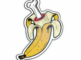  Whd Whdeep Profile Pinterest