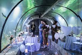 На трьох поверхах будинку розмістили більше двадцяти акваріумів, у яких живуть. U Lvovi Cholovik Osvidchivsya V Pidvodnomu Okeanariumi