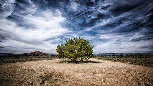 Find the best 4k wallpapers on wallpapertag. Download 2000 4k Wallpapers 3840x2160 Resolution Themefoxx