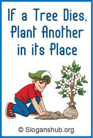 Increase in green tree cover, means new plantations. 21 Trees Ideas Save Trees Slogans Tree Slogan Save Trees