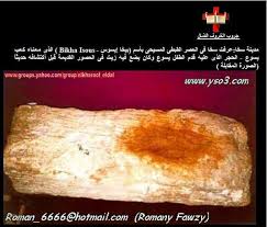 pin by romany fawzy on miracles food miracles beef