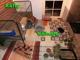 Im buch zwergkaninchen und kaninchen in der wohnung halten wird beschrieben, wie man kaninchen in der wohnung ein schönes käfigfreies leben beschert. Innenhaltung Fotos Kaninchenkafig Gehege Kaninchen Kaninchengehege