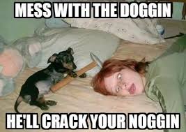 Mess With These Scrappy Animals And You Re Gonna Get A Brand New Meme Funny Animal Memes Funny Memes Stupid Funny Memes