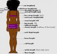 black hair length chart going for mi back within 2 years