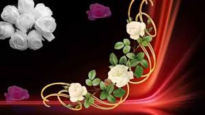 ирина круг песня букет из белых роз скачать бесплатно Buket Iz Belyh Roz S Dnem Rozhdeniya Youtube