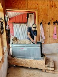 How To Set Up A Dog Washing Station