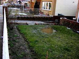 Yard Drainage: Common Problems, Solutions, And Advice