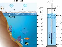 Why Does Water Do Anomalous Expansion? Why Don'T All Liquids Do It? - Quora