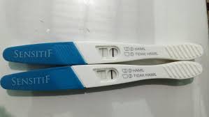 Hasil ramalan zodiak untuk gemini menyarankan pada anda selama bulan maret hingga juni agar anda memperhatikan sektor keuangan dan karier anda. Derajat Hadits Istri Bisa Hamil Tanpa Obat Dan Dokter Bimbinganislam Com