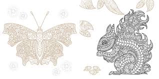 It includes coloring pages featuring alligators, turtles, lizards, and snakes. Amazon Com Woodland Creatures Night Day Colouring Book 9781780978598 Books