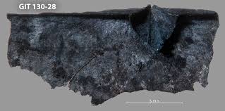 Image result for Pentas schumanniana