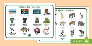 On this interesting page, you'll find a list of amazing animals that start with o in english. South Africa Word Mat Afrikaans To English Teacher Made