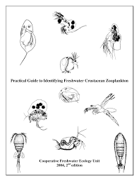 Pdf Practical Guide To Identifying Freshwater Crustacean