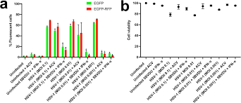 Both cause sores along with a few other symptoms. Patterns Of Herpes Simplex Virus 1 Infection In Neural Progenitor Cells Journal Of Virology