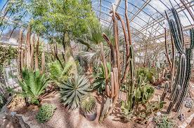 Heidelberg Botanische Garten In Heidelberg