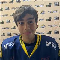 Sweden Hockey Trophy