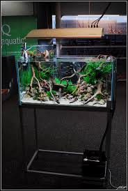 Reportage Meeting Invertebre Paris Fev 2012 Floraquatic Aquarium Poisson Installation Aquarium Aquarium Tropical