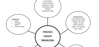 Add to my workbooks (0) download file pdf embed in my website or blog. Peta Pemikiran Sains Tahun 4 Kssr