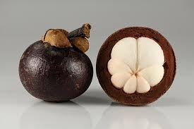 Image result for Garcinia pachyclada