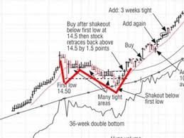 Reading Charts With William Oneil