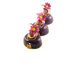 Petits Gateaux Myrtille Mascarpone Biscuit Pate A Choux Sirop D Imbibage Vanille Confit Fruits Rouge C Decoration Chocolat Beau Gateau Gateau Aux Myrtilles