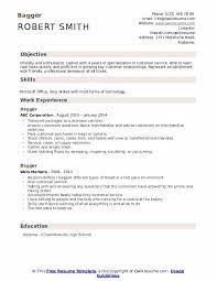 Bagger Resume Samples Qwikresume