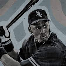 4.5 out of 5 stars 43. Michael Jordan S 202 Batting Average Is More Impressive Than It Seems The Ringer
