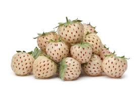 These berries are said to be a cross between pineapples and strawberries because of their tangy and sweet taste. Weird Fruits Bizarre Exotic Fruits