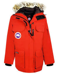 Awesome Best Canadian Jacket Brands Canadian Jacket Jacket Brands Jackets