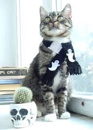 Black And White Striped Cat Black And White Striped Scarf For Cat Halloween Scarf For Cat Halloween Cat Cats Black And White