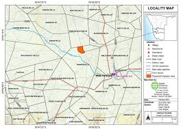 Image result for Hermbstaedtia schaeferi