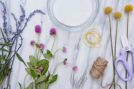 We did not find results for: Tips For Harvesting Drying And Storing Flowers