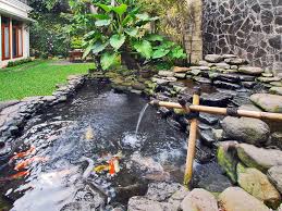 Dengan memiliki taman kecil di rumah, dapat membuat anda merasa lebih rileks dan nyaman. 55 Inspirasi Desain Kolam Ikan Minimalis Di Halaman Rumahku Unik