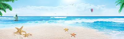 Summer Beach Sea Background Summer Backgrounds Summer Poster Summer Banner
