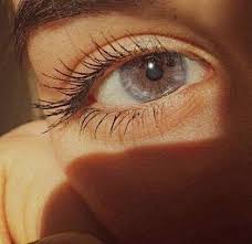 Brown Grey Eyes Brown Eyes Aesthetic Beautiful Brown Eyes Aesthetic Eyes