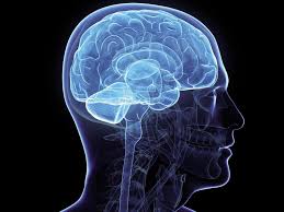 Rd.com knowledge facts you might think that this is a trick science trivia question. 48 Science Trivia Questions And Answers