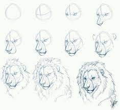 Here the top ten animals to draw 1001 Ideas And Inspiration On How To Draw Animals