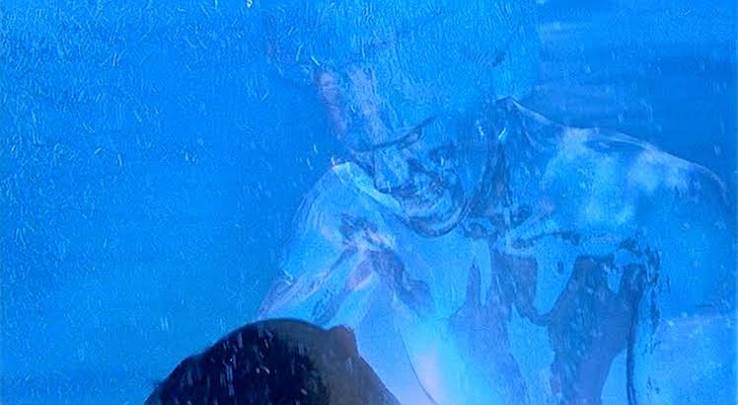 2000 – Hollow Man – Academy Award Best Picture Winners