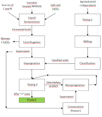 Schematic View Of The Proposed Process To Obtain An Enriched