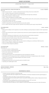 coo operations resume sample mintresume