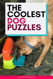 Top 10 Dog Puzzles You Need To Exercise Their Brain In 2020 Dog Puzzles Cute Dog Toys Dog Puzzle Toys