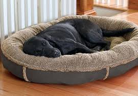 But, washing your large or extra large dog bed provides an extra. The 5 Best Fully Machine Washable Dog Beds Dogvills