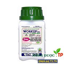 Workup 9SL