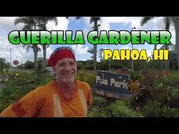 Guerilla gardening has 5,706 members. Guerilla Gardening In Pua Park Pahoa Hi Landscaping Odd Hawaii Youtube