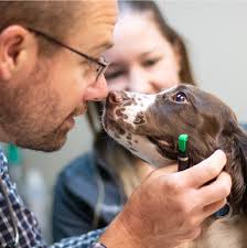 We are a veterinary medical facility, providing services to pets in omaha, ne and surrounding areas. Veterinarian In Sioux Falls Sd Best Care Pet Hospital